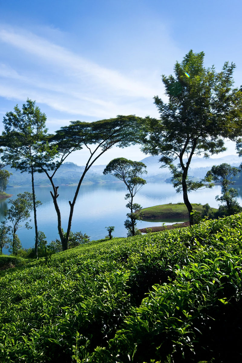 nuwara-eliya-tours